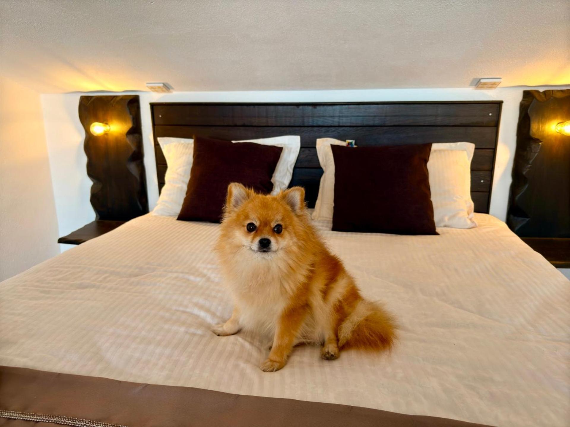 Arthotel Oscar I Sozopol Buitenkant foto
